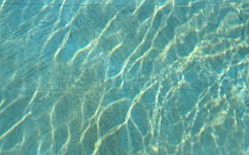Olivista - Live In Nature
